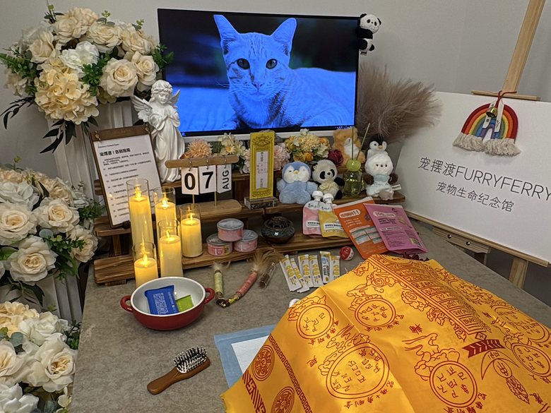 宠物爪印留念与纪念品定制
