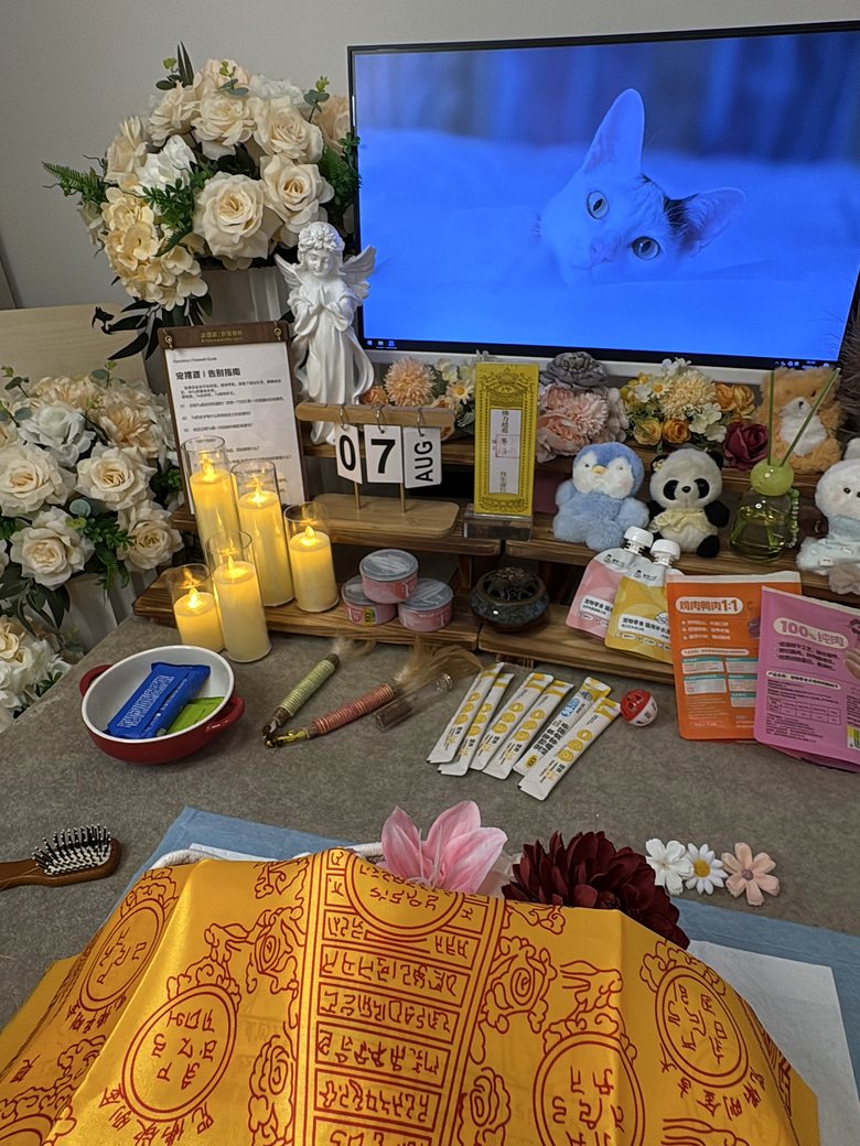 福州宠物殡葬门店告别厅环境